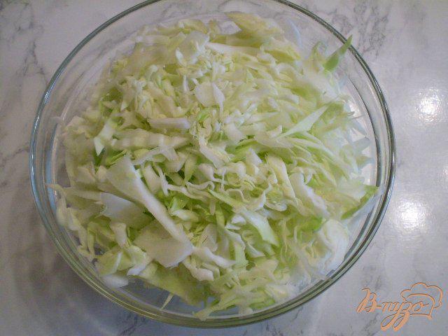 Фото приготовление рецепта: Диетическое рагу без картофеля и жира шаг №3