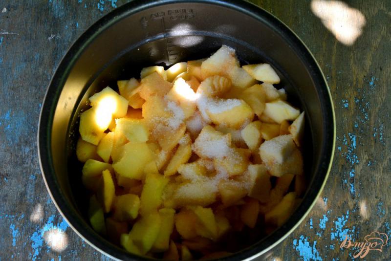 Фото приготовление рецепта: Нежное яблочное пюре из мультискороварки шаг №2