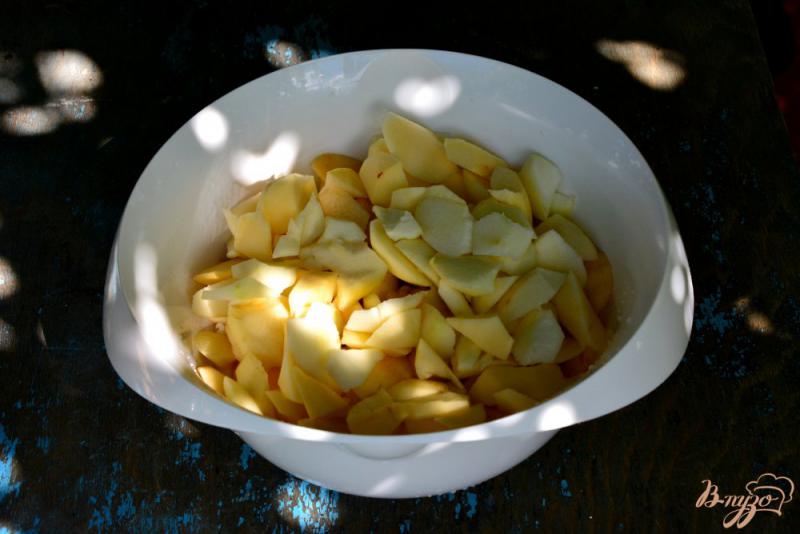 Фото приготовление рецепта: Нежное яблочное пюре из мультискороварки шаг №1