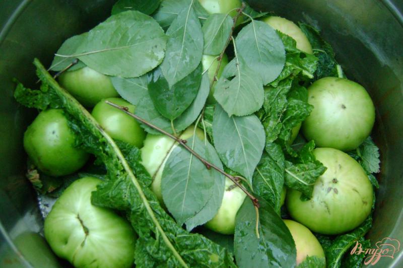 Фото приготовление рецепта: Моченые зеленые помидоры шаг №3