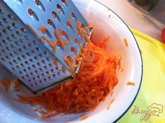 Фото приготовление рецепта: Лечо с морковью  из Будапешта шаг №2