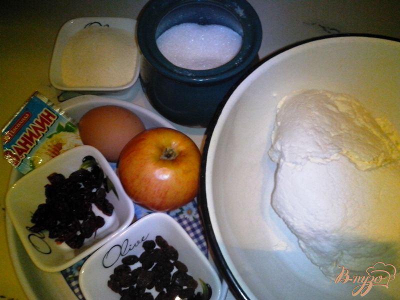 Фото приготовление рецепта: Творожная запеканка с сушёной клюквой и яблоком в мультиварке-скороварке шаг №1