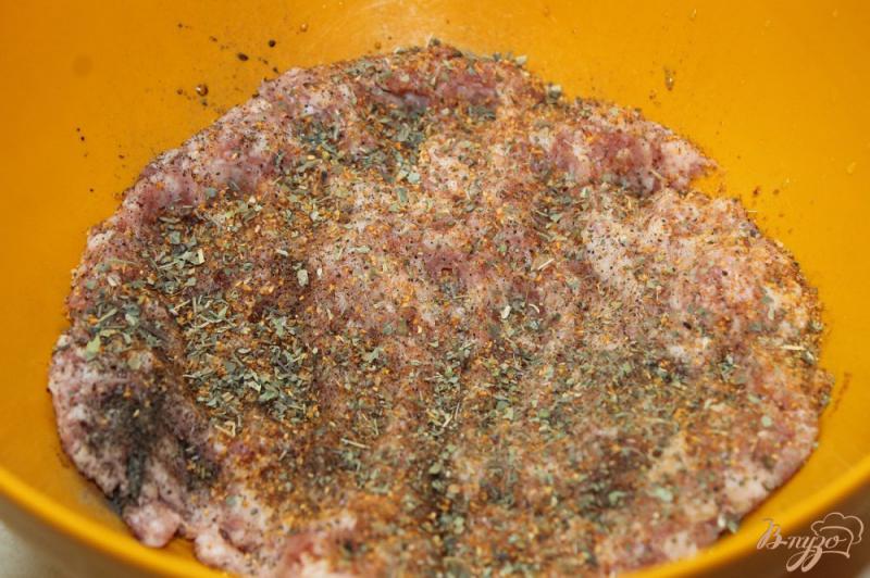 Фото приготовление рецепта: Свиные биточки с помидорами и сыром шаг №2