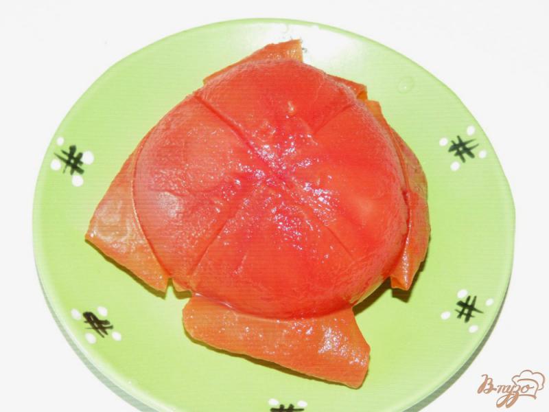 Фото приготовление рецепта: Домашний томатный соус с луком шаг №1