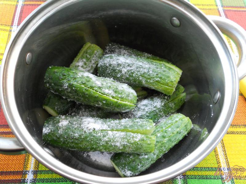 Фото приготовление рецепта: Кимчи из свежих огурцов шаг №2