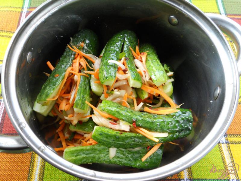 Фото приготовление рецепта: Кимчи из свежих огурцов шаг №6