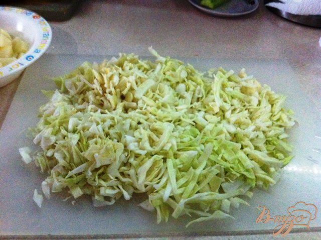 Фото приготовление рецепта: Щи из свежей капусты для маленьких шаг №2