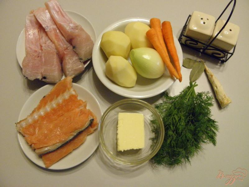 Фото приготовление рецепта: Суп из лосося и толстолобика шаг №1