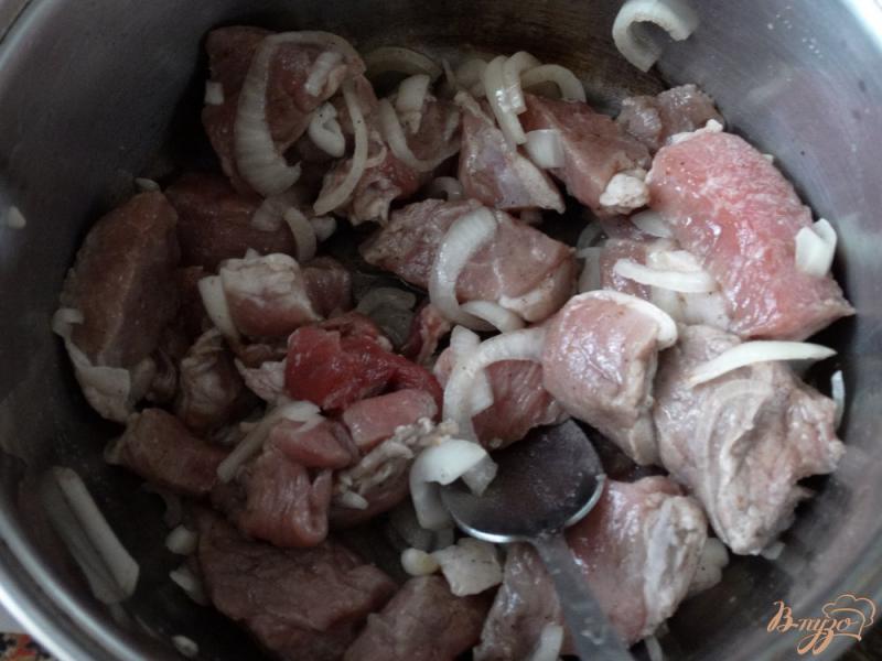 Фото приготовление рецепта: Шашлык из свинины в духовке шаг №4