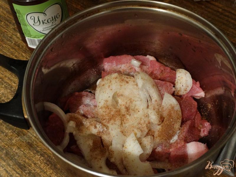 Фото приготовление рецепта: Шашлык из свинины в духовке шаг №3