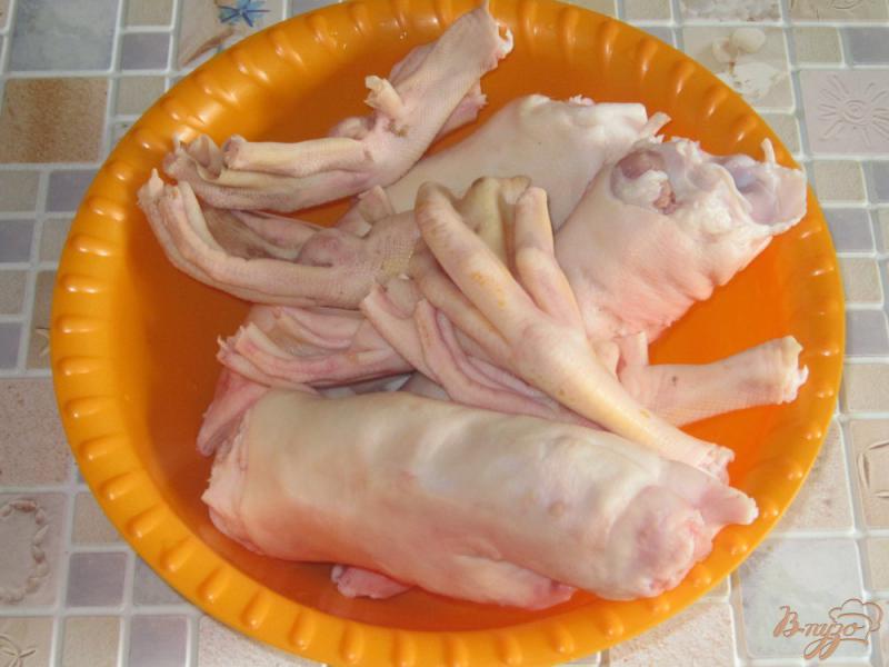Фото приготовление рецепта: Холодец из свиных ножек и утиных лапок шаг №1