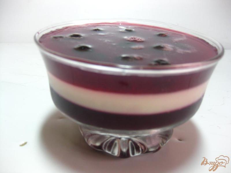 Фото приготовление рецепта: Желейный десерт со сметаной и смородиной шаг №10