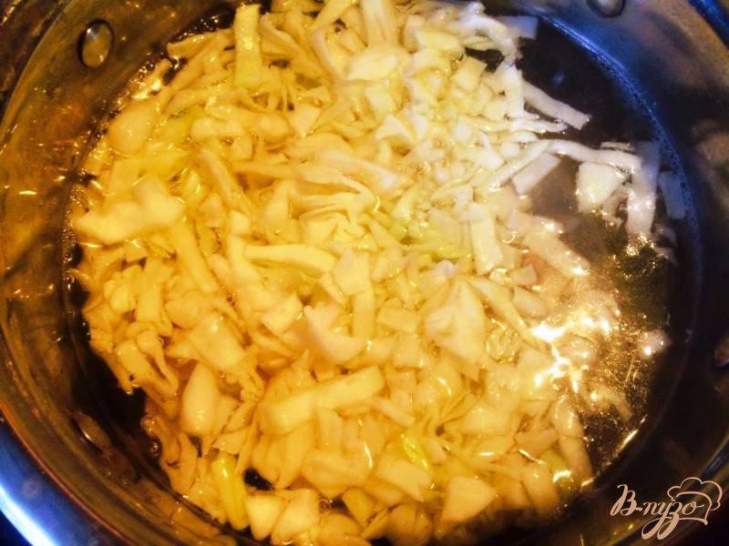 Фото приготовление рецепта: Щи со свежей капусты с индейкой  для деток шаг №2