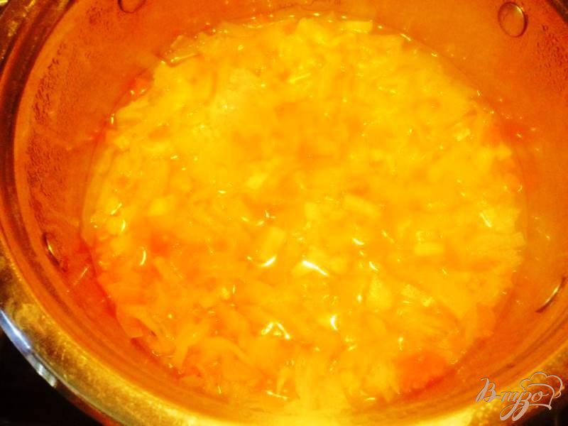 Фото приготовление рецепта: Щи со свежей капусты с индейкой  для деток шаг №4