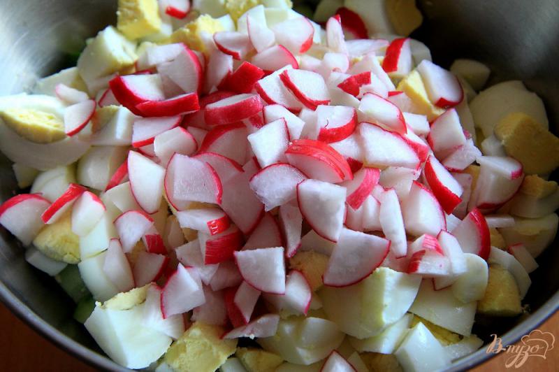 Фото приготовление рецепта: Салат «Весенний» с редисом, огурцами и яйцами шаг №3