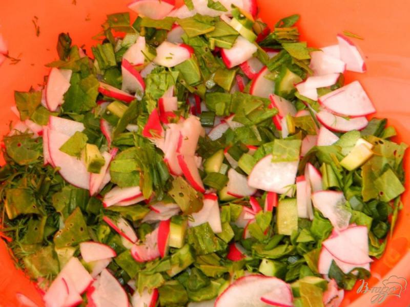 Фото приготовление рецепта: Салат с редисом и щавлем шаг №4