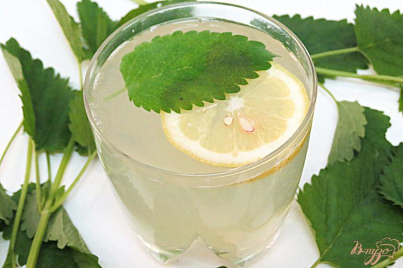 Фото приготовление рецепта: Имбирный чай с мелисой и лимоном шаг №7