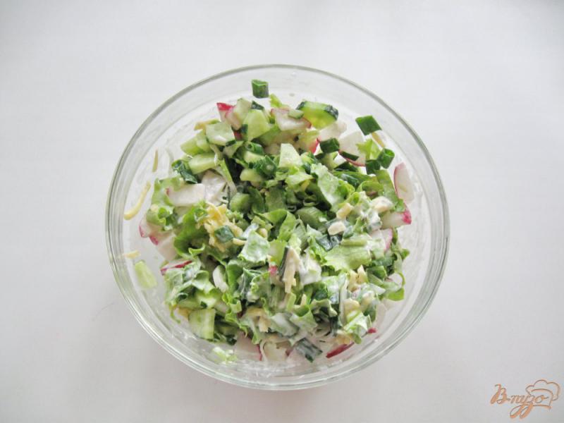 Фото приготовление рецепта: Салат из редиса с сыром шаг №7
