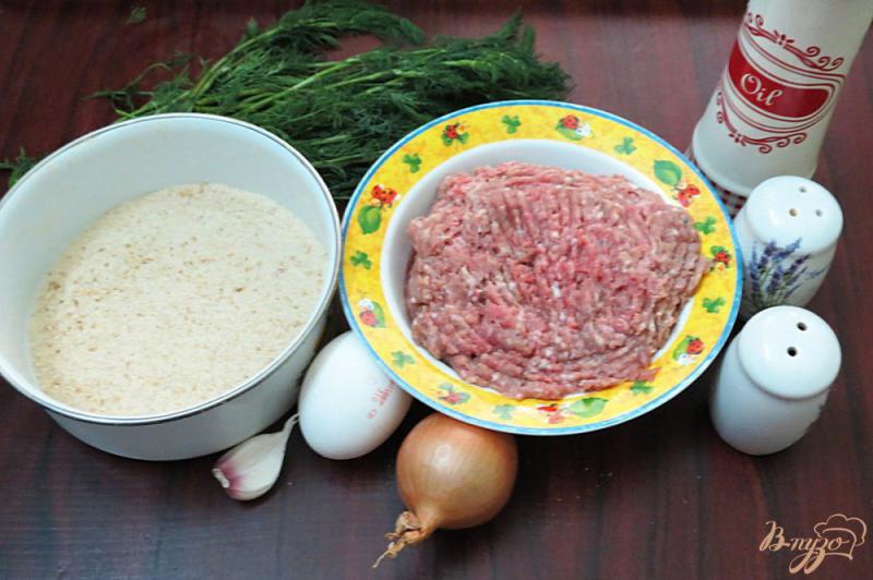 Фото приготовление рецепта: Котлеты из свинины и говядины в духовке шаг №1