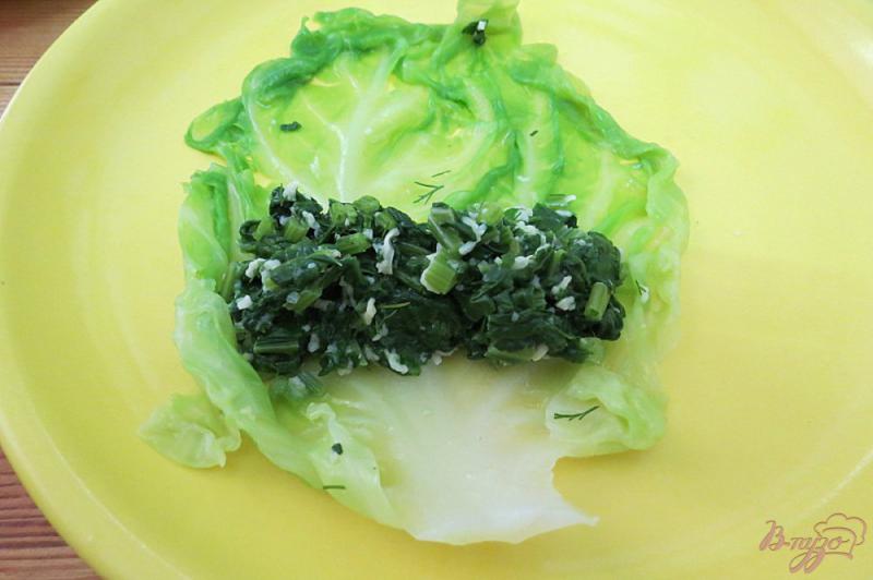 Фото приготовление рецепта: Голубцы из молодой капусты, со шпинатом и сыром шаг №9