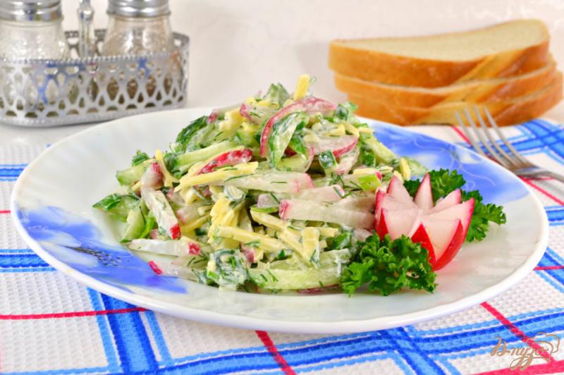 Фото приготовление рецепта: Салат из свежих огурцов с редисом и сыром шаг №4