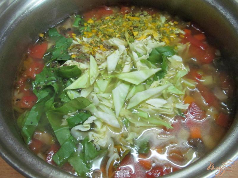 Фото приготовление рецепта: Овощной суп на курином бульоне в азиатском стиле шаг №7