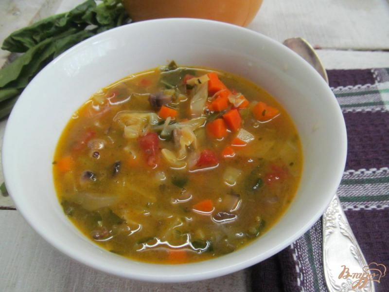 Фото приготовление рецепта: Овощной суп на курином бульоне в азиатском стиле шаг №9
