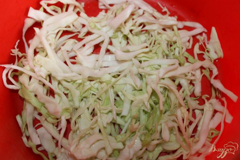 Фото приготовление рецепта: Салат из белокочанной капусты с редисом, помидором и яйцом шаг №2