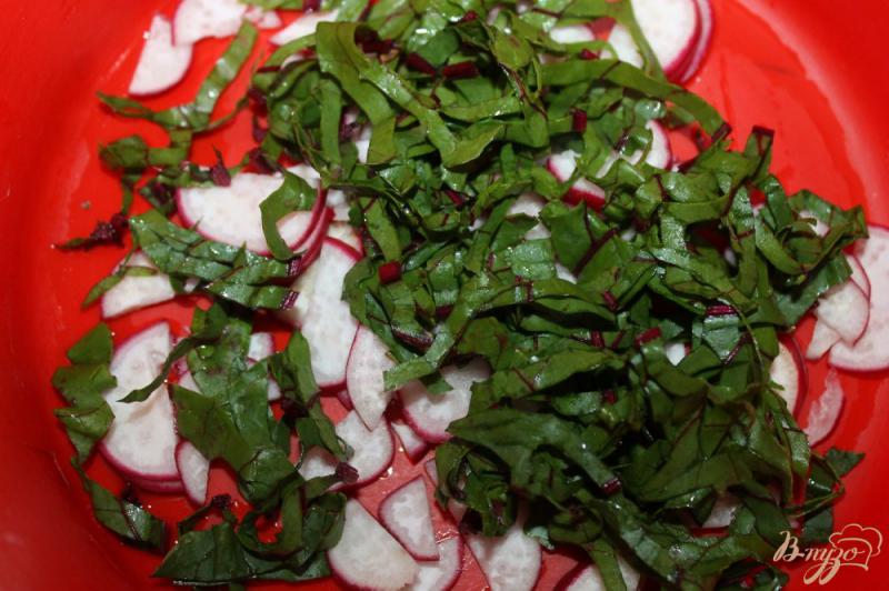 Фото приготовление рецепта: Салат с ботвой свеклы и редисом шаг №3