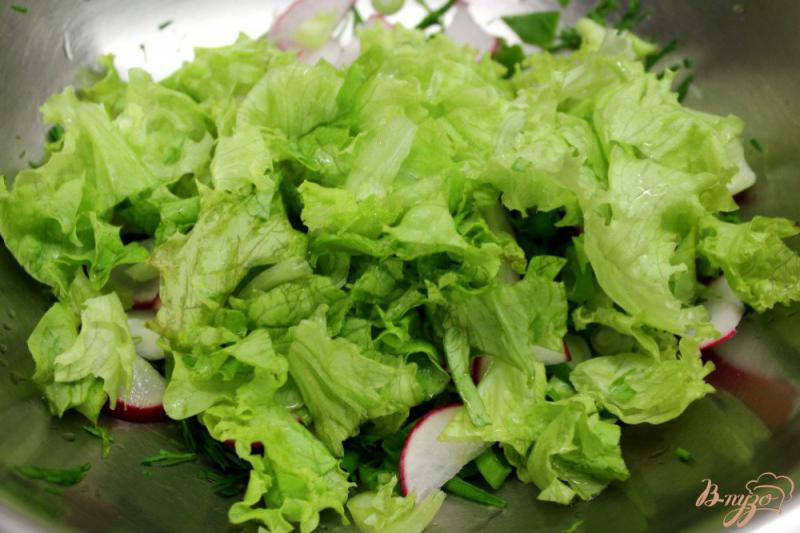 Фото приготовление рецепта: Салат с редисом и фетой шаг №3