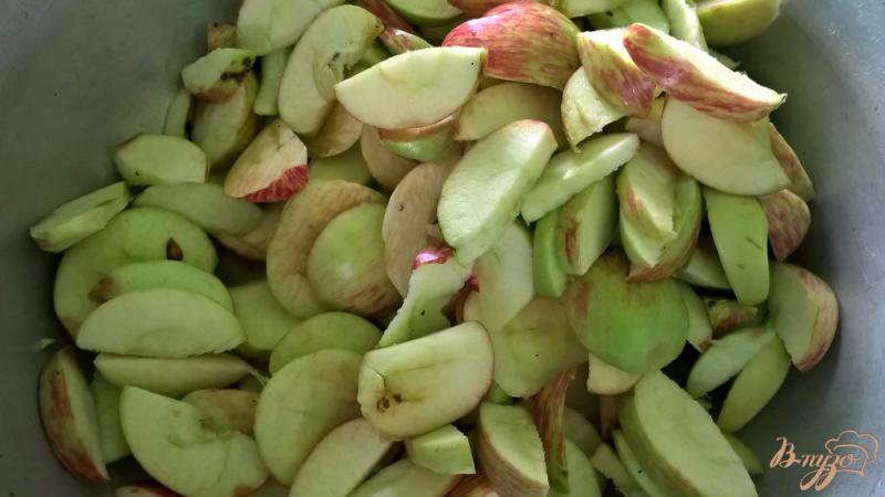 Фото приготовление рецепта: Яблочная сушка шаг №2