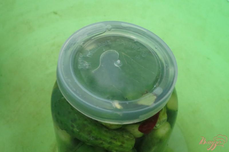 Фото приготовление рецепта: Огурцы солёные с горчичным порошком, на зиму шаг №8