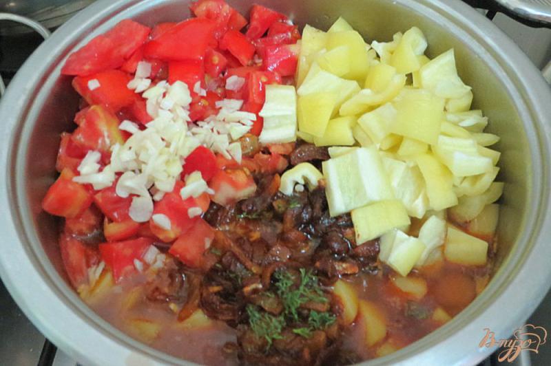 Фото приготовление рецепта: Венгерский суп гуляш с чипетками шаг №11