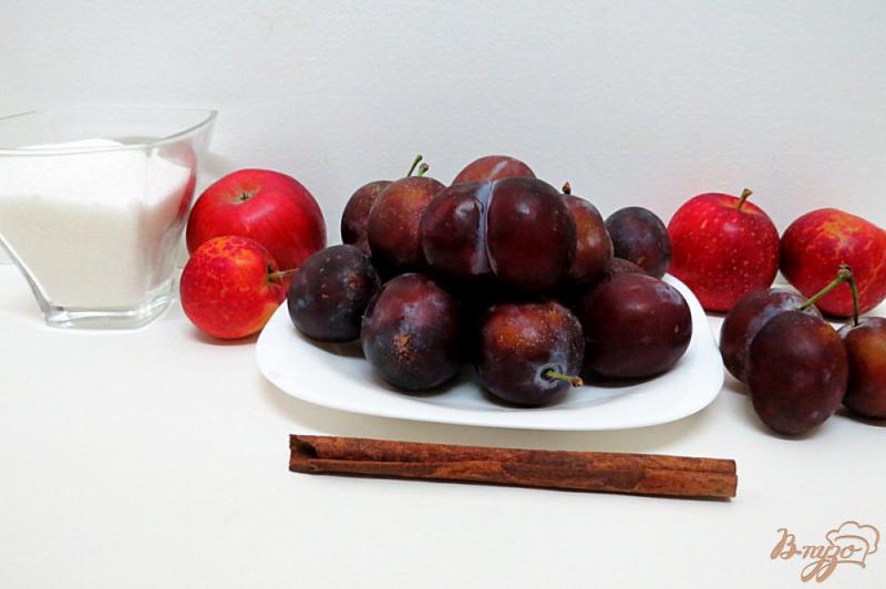 Фото приготовление рецепта: Компот из слив, яблок и корицы шаг №1