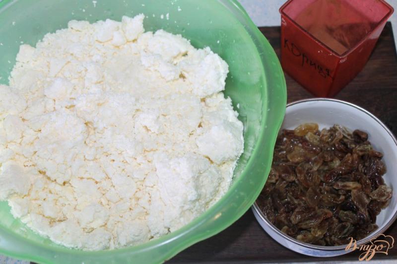 Фото приготовление рецепта: Сырники с корицей, изюмом и манной крупой шаг №1