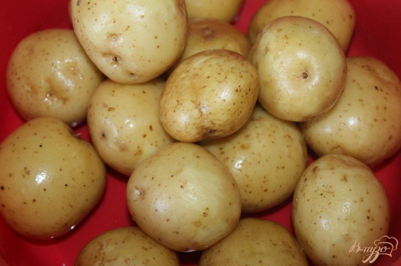 Фото приготовление рецепта: Картофельные шашлычки с салом и луком на костре шаг №1