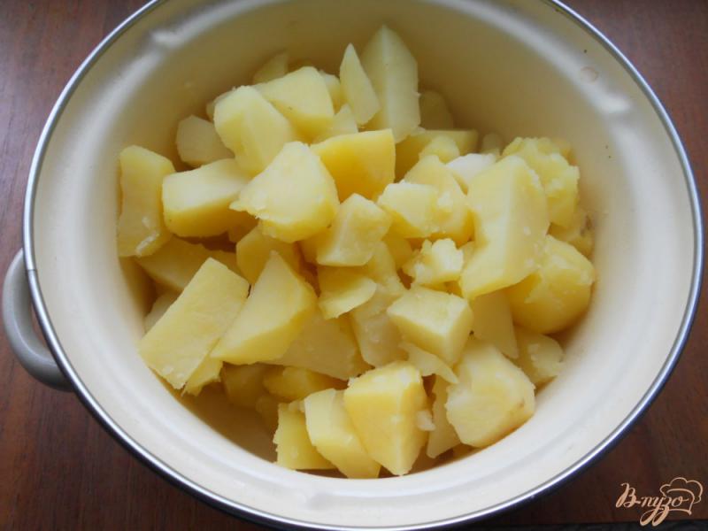 Фото приготовление рецепта: Вареники с картофелем и сыром на пару из творожного теста шаг №1