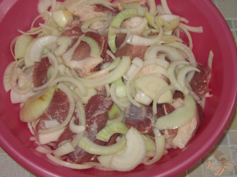 Фото приготовление рецепта: Шашлык из свинины маринованный в майонезе и минералке шаг №2