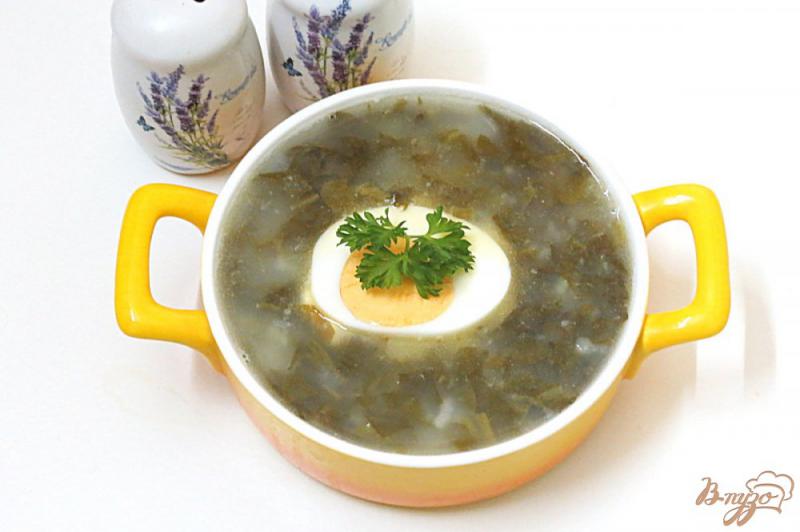Фото приготовление рецепта: Щавелевый суп с картофельным пюре м рисом шаг №9