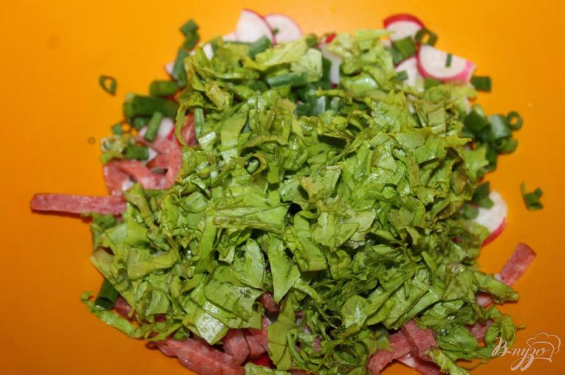 Фото приготовление рецепта: Салат с редисом, копченой колбасой и зеленью шаг №4