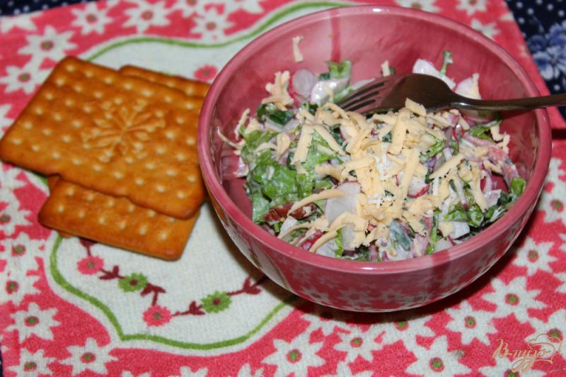 Фото приготовление рецепта: Салат с редисом, копченой колбасой и зеленью шаг №6