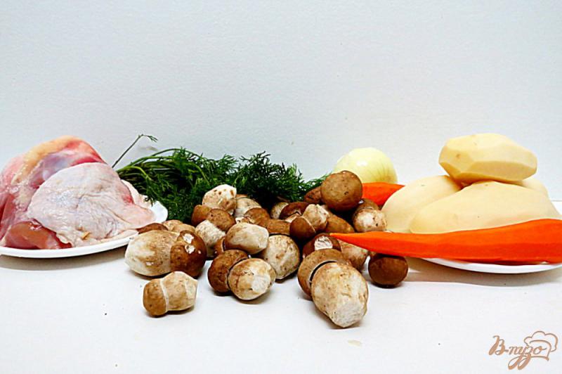 Фото приготовление рецепта: Суп из белых грибов шаг №2