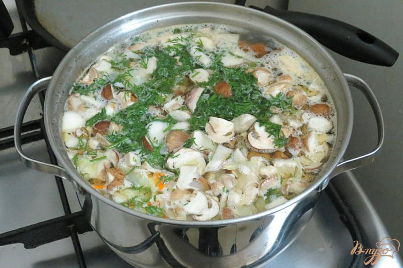 Фото приготовление рецепта: Суп из белых грибов шаг №10