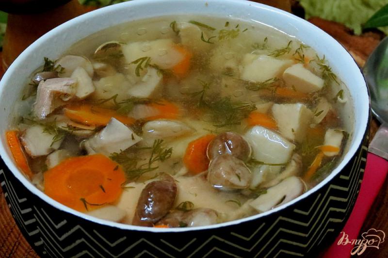 Фото приготовление рецепта: Суп из белых грибов шаг №11