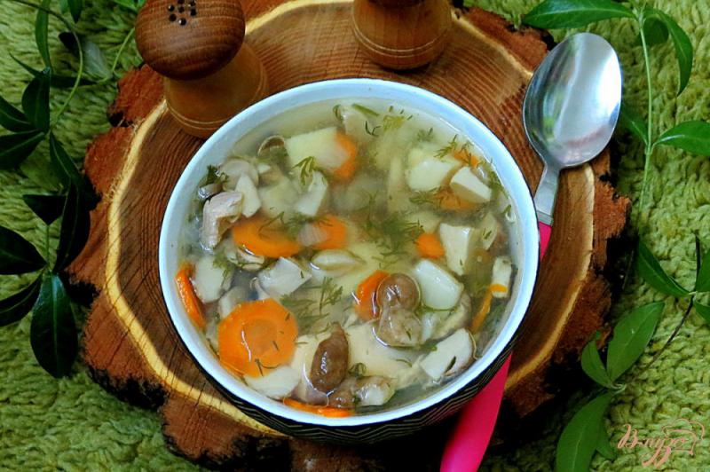 Фото приготовление рецепта: Суп из белых грибов шаг №12
