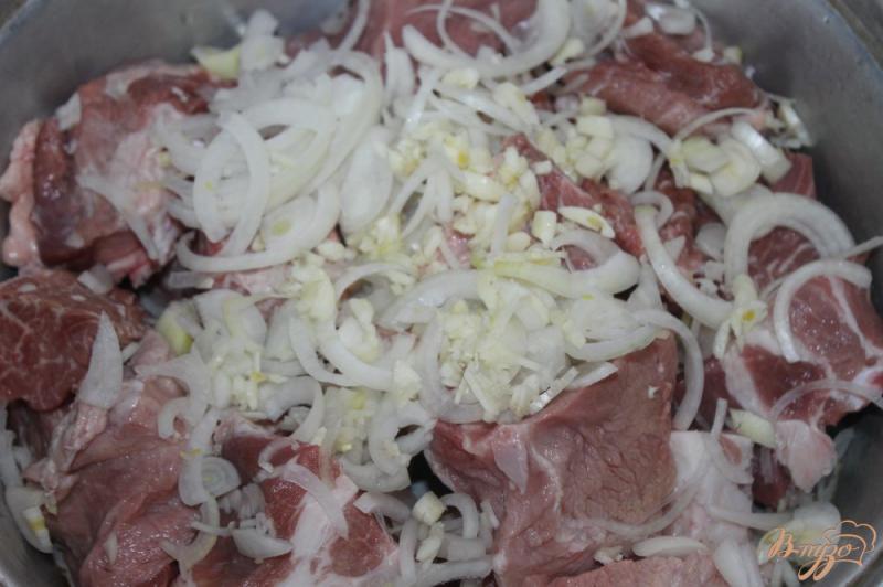 Фото приготовление рецепта: Свиной шашлык маринованный с овощами, горчицей и уксусом шаг №2