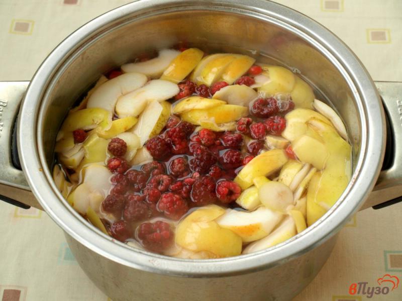 Фото приготовление рецепта: Компот с яблоками, малиной, калиной и айвой шаг №3