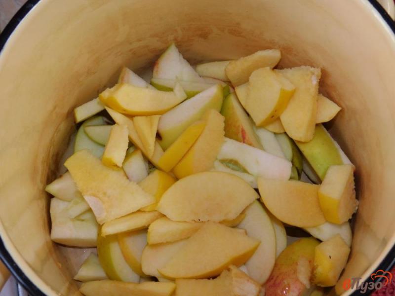 Фото приготовление рецепта: Яблочно-брусничный компот с айвой шаг №1