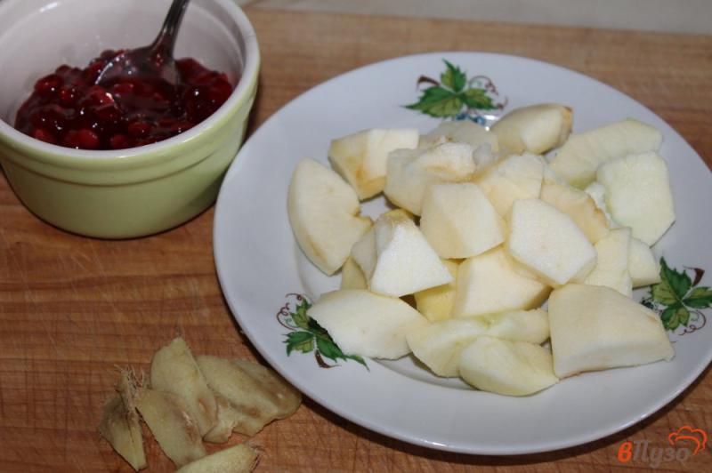 Фото приготовление рецепта: Яблочный компот с калиной и имбирем шаг №1