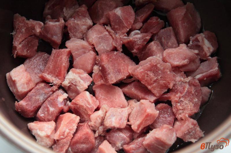 Фото приготовление рецепта: Гуляш из свинины в томатно-сметанном соусе в мультиварке шаг №1